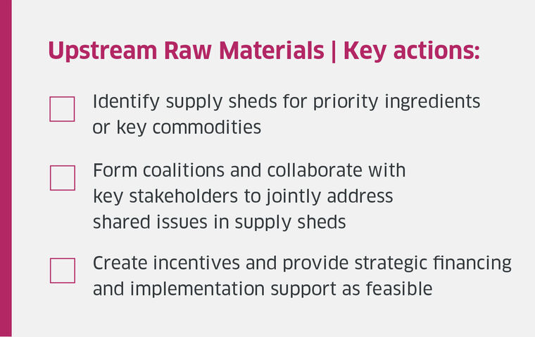 Upstream Raw Materials key actions graphic